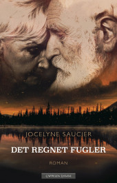 Bokomslag Det regnet fugler