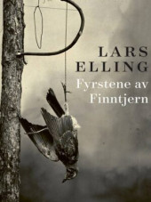 Bokomslag: Fysrstene av Finntjern