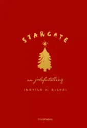 Bokomslag til Stargate av Ingvild H. Rishøi